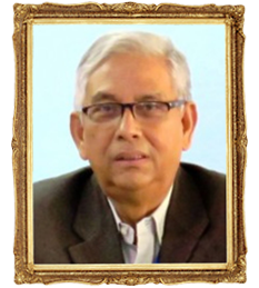 Professor Dr. Mohammed Farashuddin